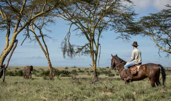 Borana Lodge