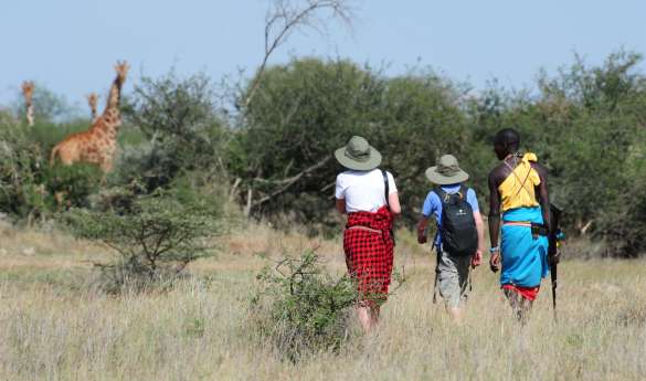 Karisia Walking Safaris