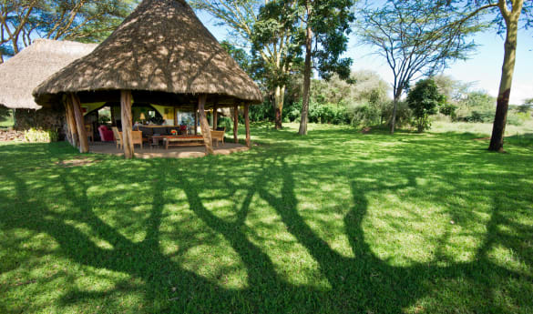 Lewa House