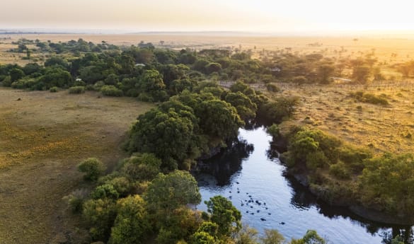 Mara Toto Tree Camp