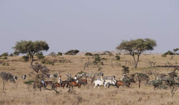 Riding in Northern Kenya