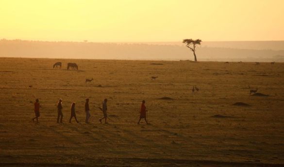 Walking Safari