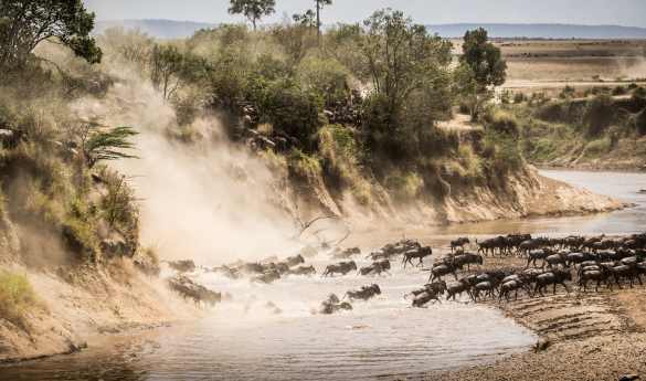 Kenya Uncovered