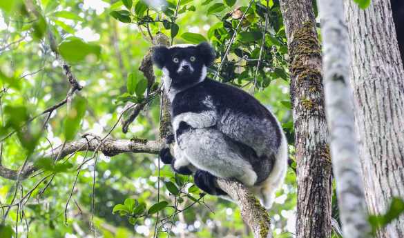 Family Fun in Madagascar and Mauritius