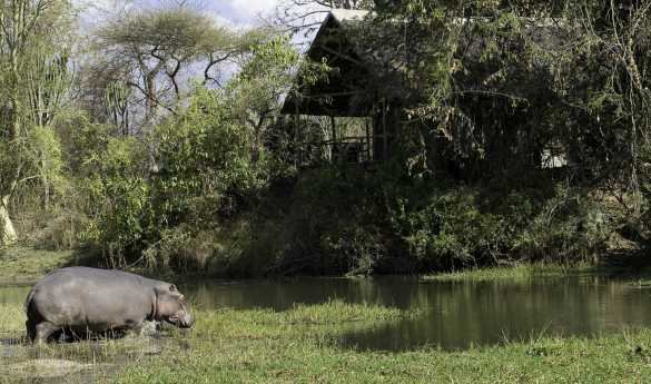 Mvuu Lodge