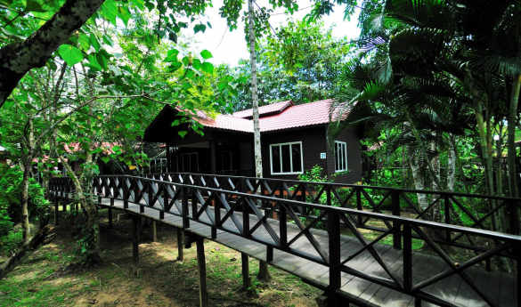 Kinabatangan Riverside Lodge