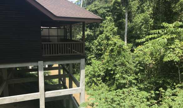 MY Nature Resort