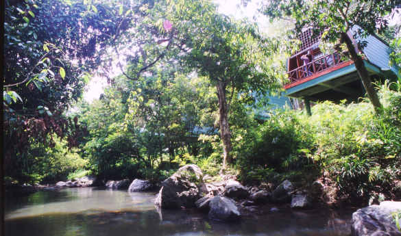 Tabin Wildlife Resort