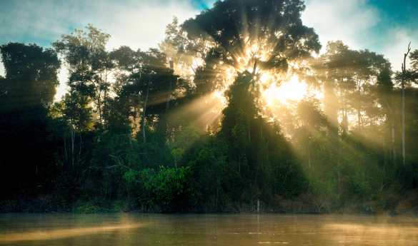 Sukau Rainforest Lodge - Kelenanap Oxbow Lake