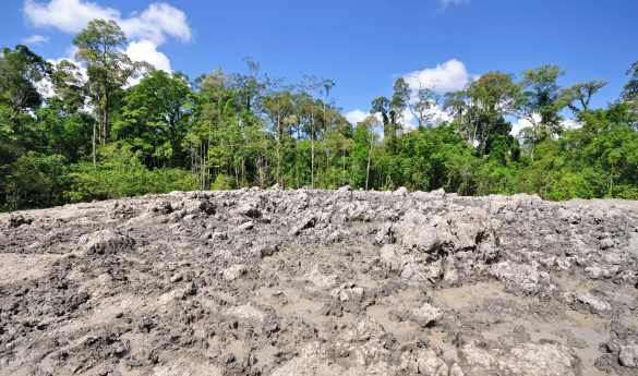 Tabin - Lipad Mud Volcano