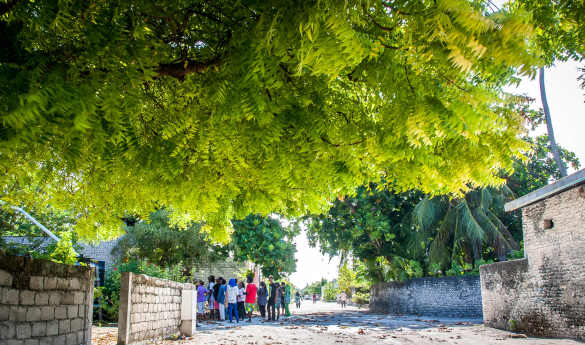 Eydhafushi Island Visit