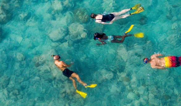 Family picnic with guided snorkelling