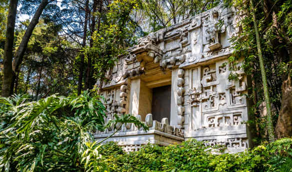 National museum of Anthropology out of hours private tour