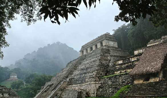 Private Full Day Tour to Palenque