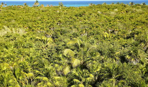 Sian Ka'an Biosphere Reserve Private Tour