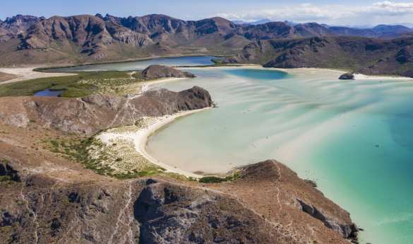 Perfect Pairings: Baja & Espiritu Santo
