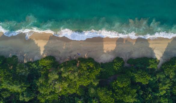 Perfect Pairings: Punta Mita & Sayulita