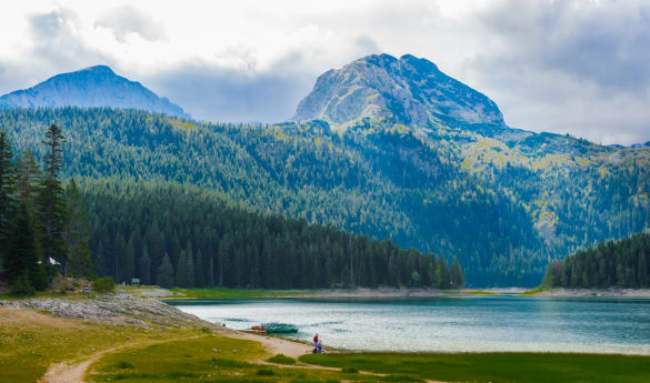 Helicopter & Wilderness Picnic Experience