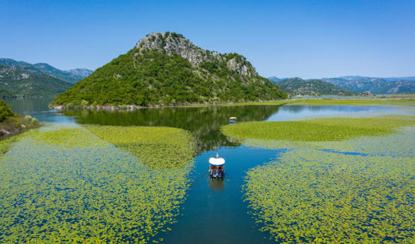 Private Tour of Skadar Lake