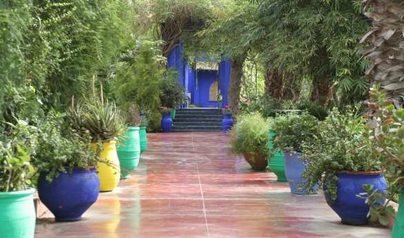 Visit the Majorelle gardens