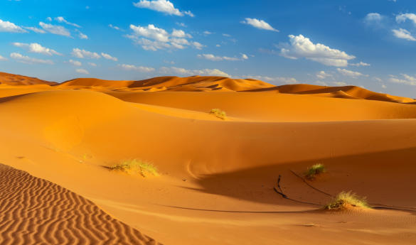 Sahara Serenity: A Luxury Adventure in Morocco