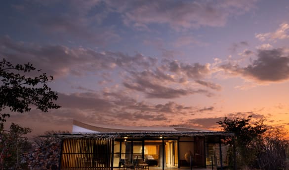 Andersson's @ Ongava