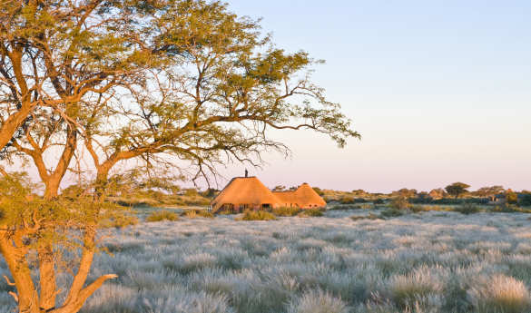 Kalahari Red Dunes Lodge