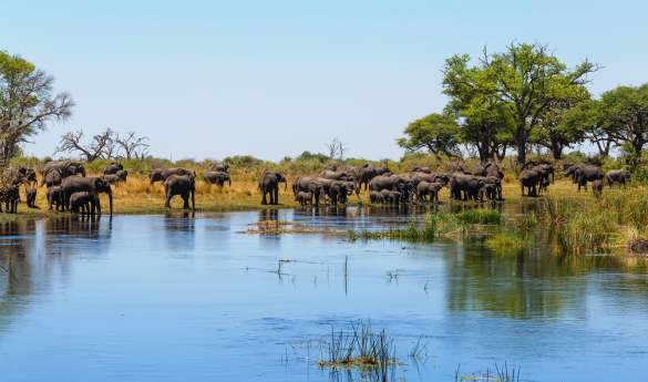 Shametu River Lodge & Campsite