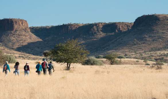Walking Safaris in Damaraland