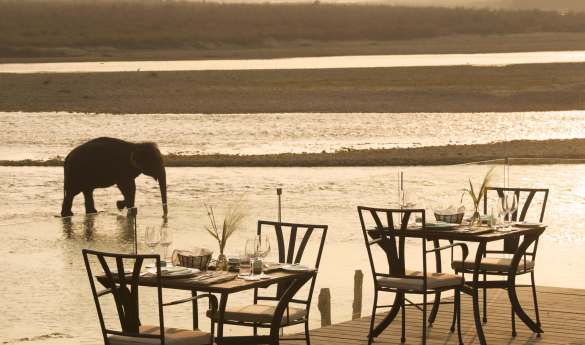 Meghauli Serai, Taj Safaris