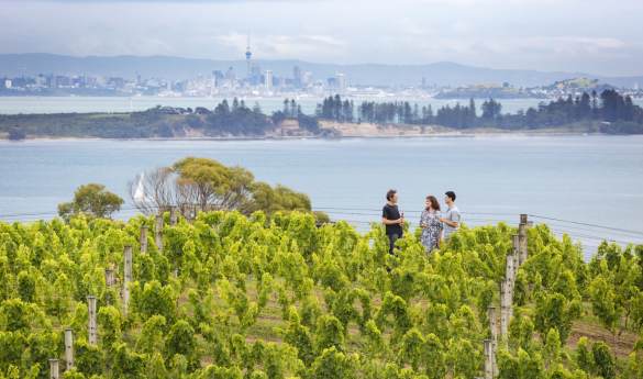 Exclusive Gourmet Food and Wine on Waiheke - Shared