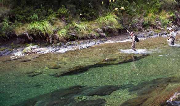 Fly Fishing Taupo - Privately Guided