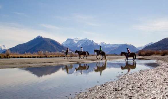 Horse Riding in Glenorchy