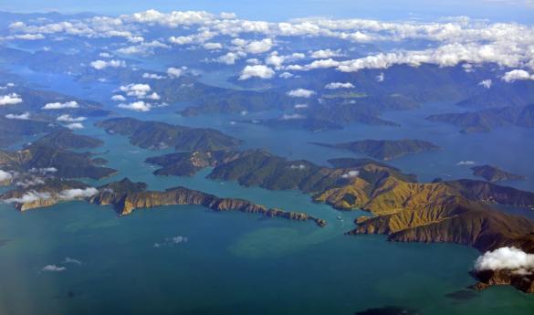 Seafood Odyssea Cruise (Shared)