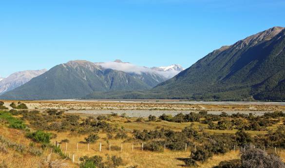 TranzAlpine Adventure Day Trip - By Train and Road -  Shared