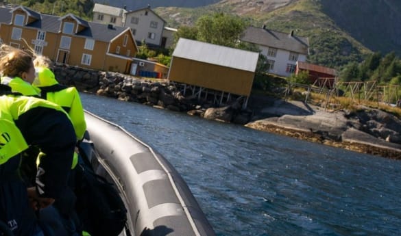 Lofoten Rib Boat Tour