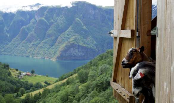 Family Fun in Norway