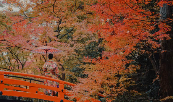 Limitless Discovery with Silversea