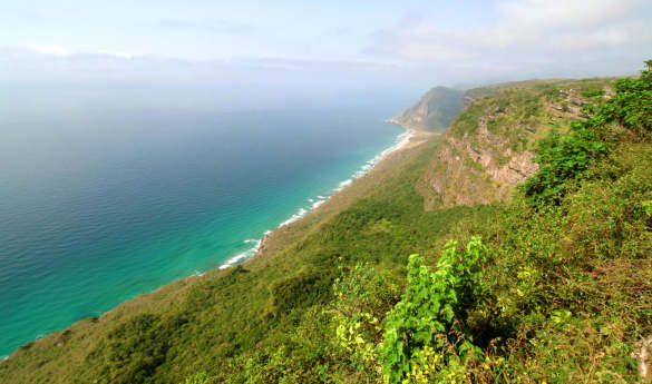 Frankincense Trail