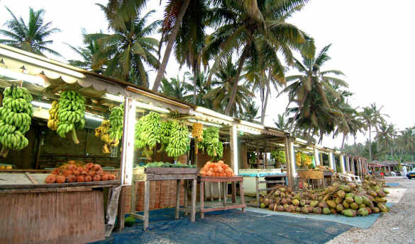 Half-day Salalah City Tour