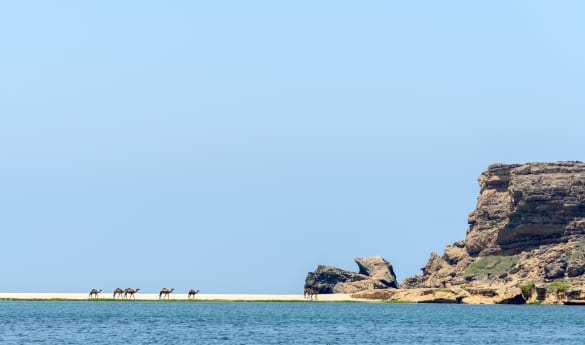Jebel Safari Tour in the Dhofar Mountains