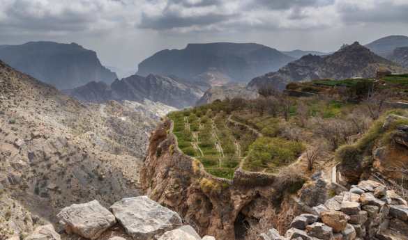 Active Oman