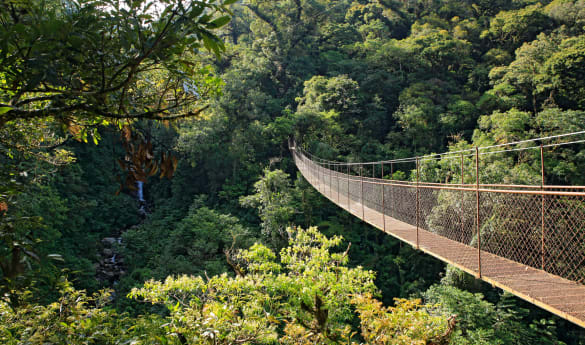 Boquete Hanging Bridges Tour
