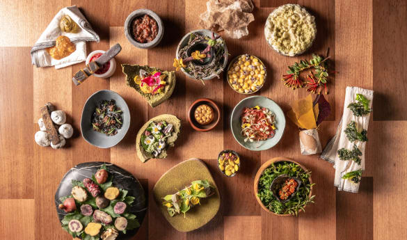 Mil Immersion Experience