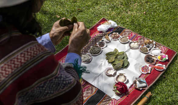 Tribute to Mother Earth