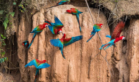 Family Fun in Peru