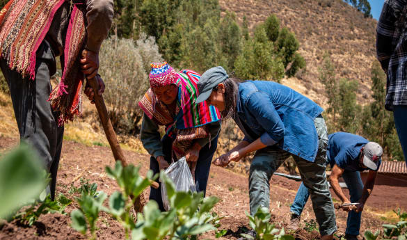 The Flavor Trail: Peru