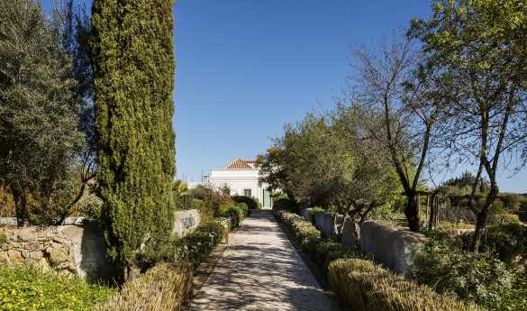 Fazenda Nova