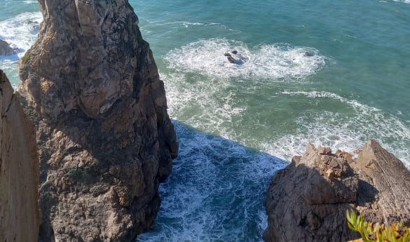 Coastal immersion therapy