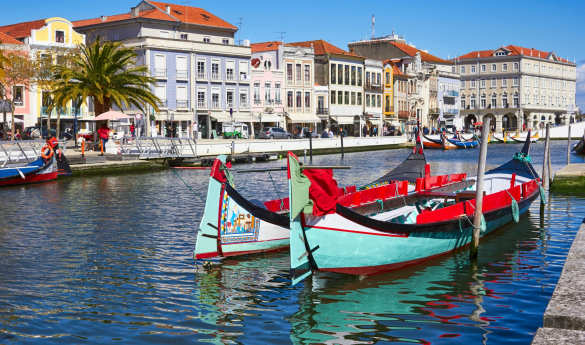 Discover Aveiro and Coimbra
